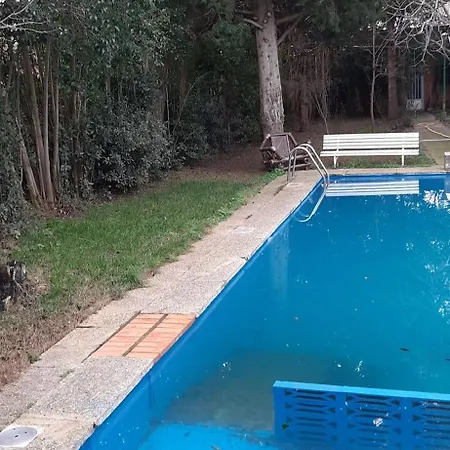 Abetos *