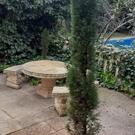 Abetos San Mateo de Gállego