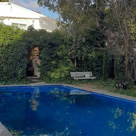Abetos